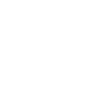 Logo Waasland