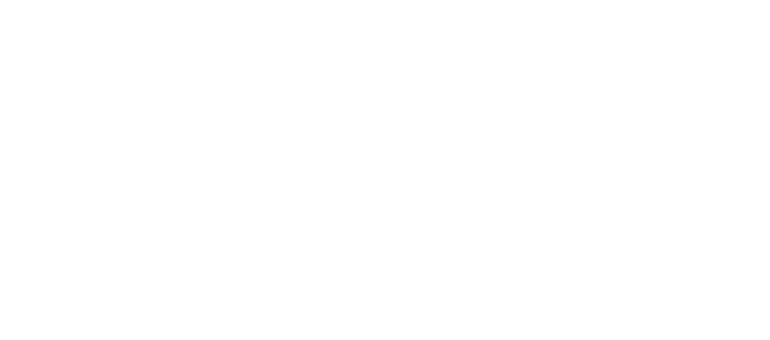 Logo Mr Georges