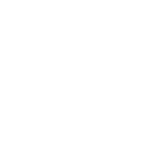 Logo PlastIQ