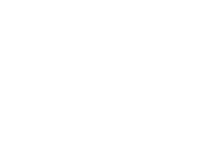 Logo De Wasbeer