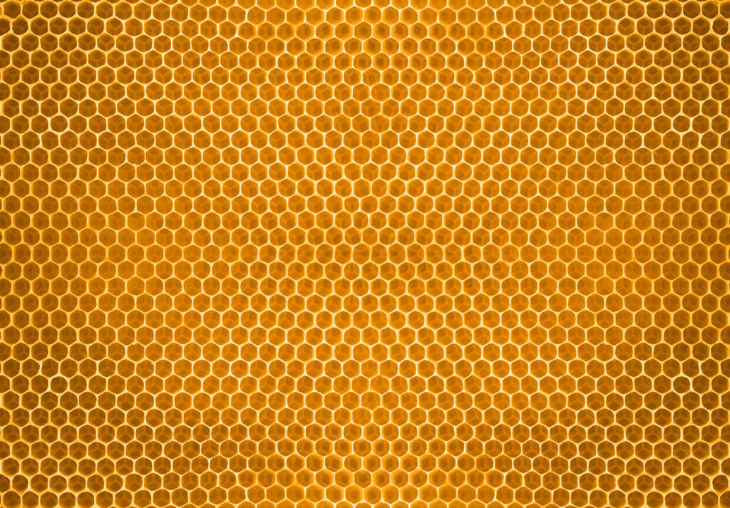 close-up van honingraat cellen van een bijenkorf